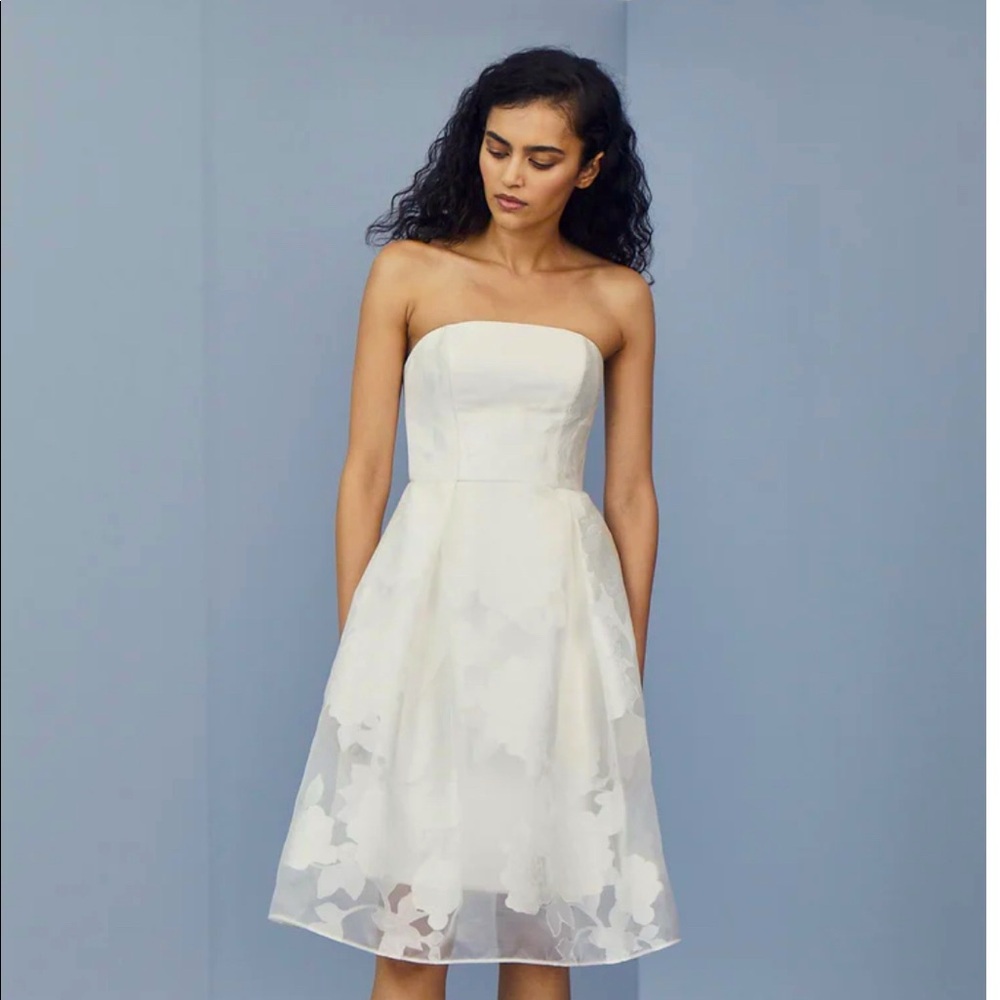 NWT ivory floral dress